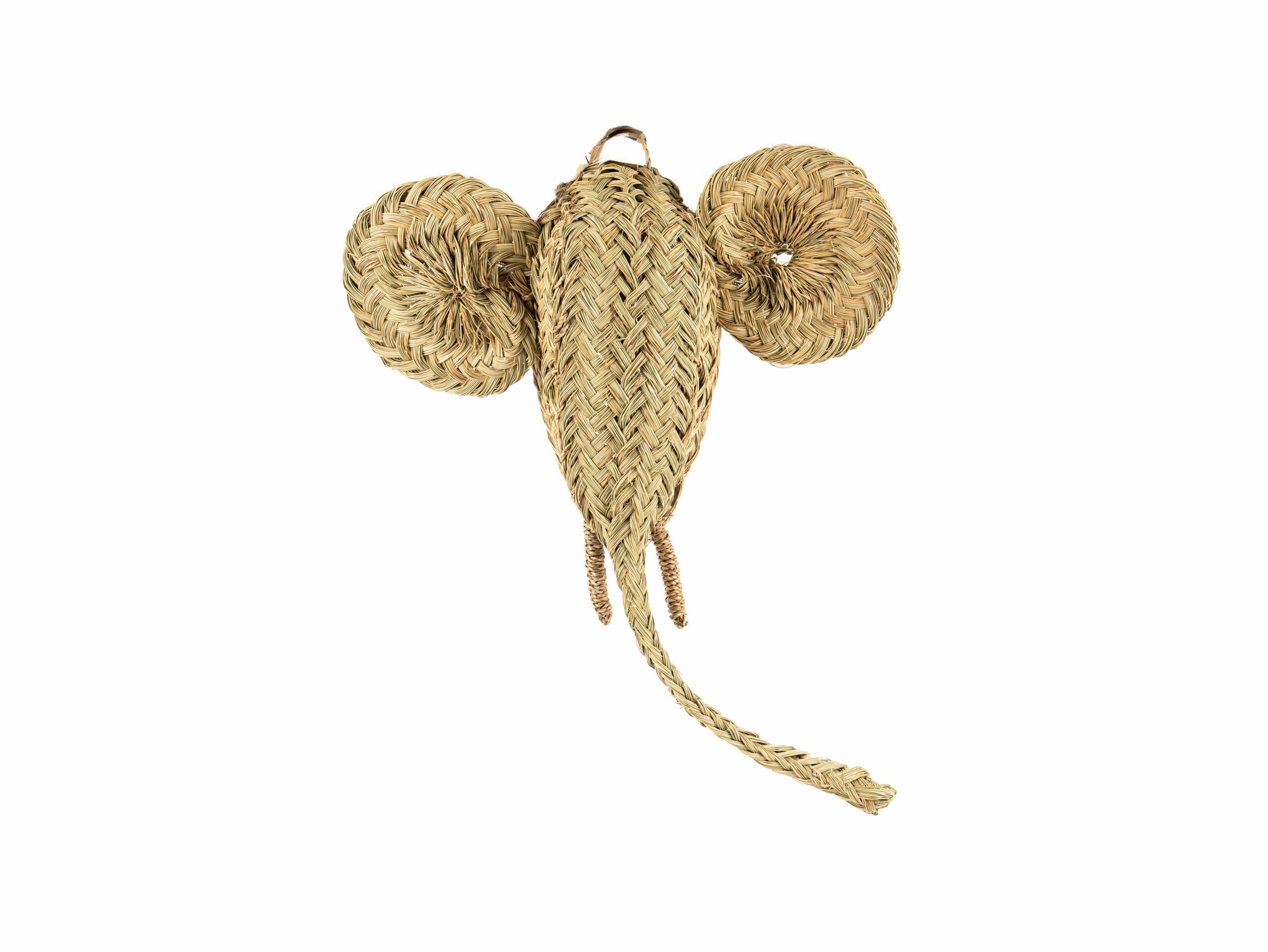 Cabeza Elefante Settat - Imagen 3