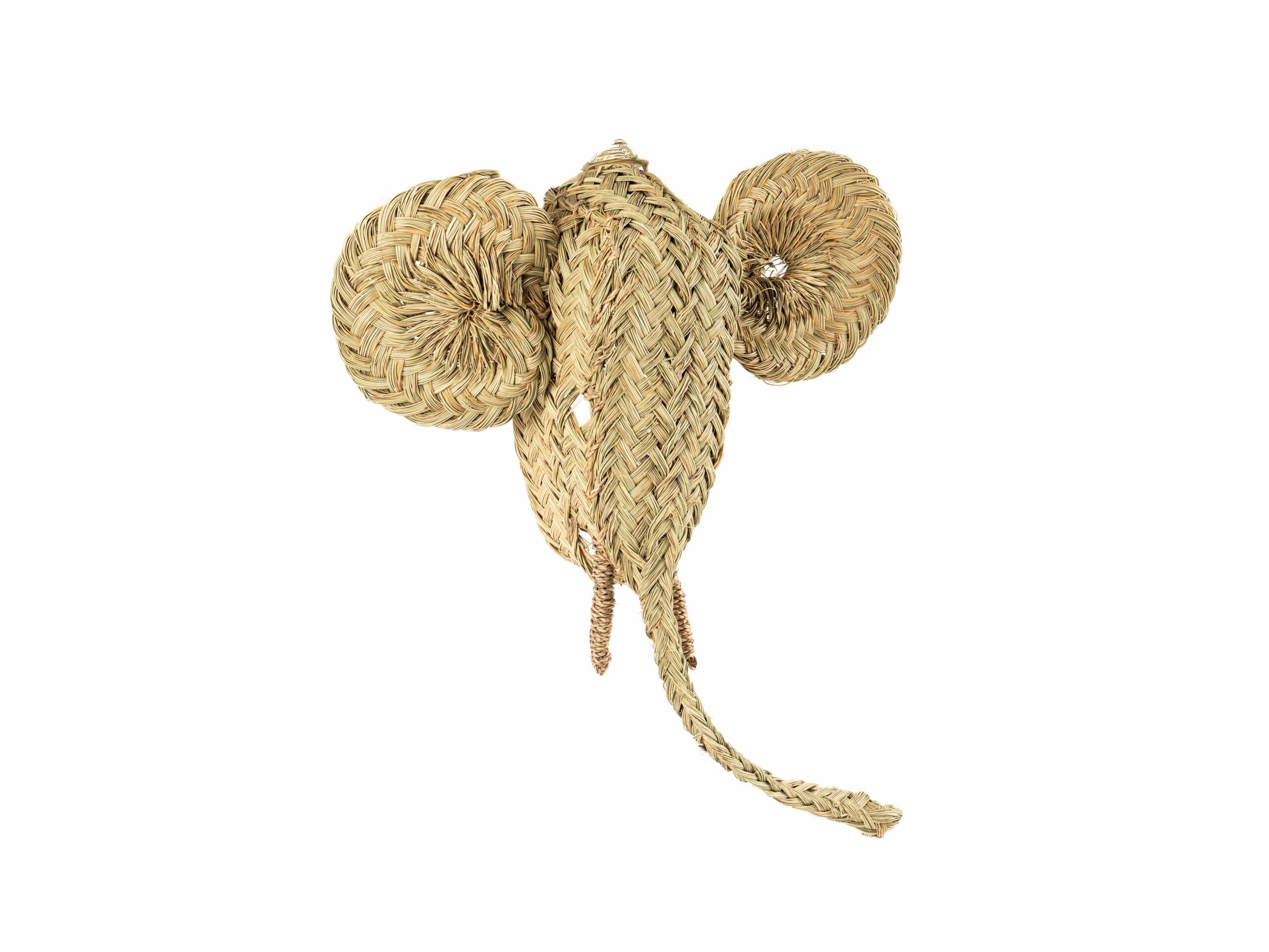 Cabeza Elefante Settat