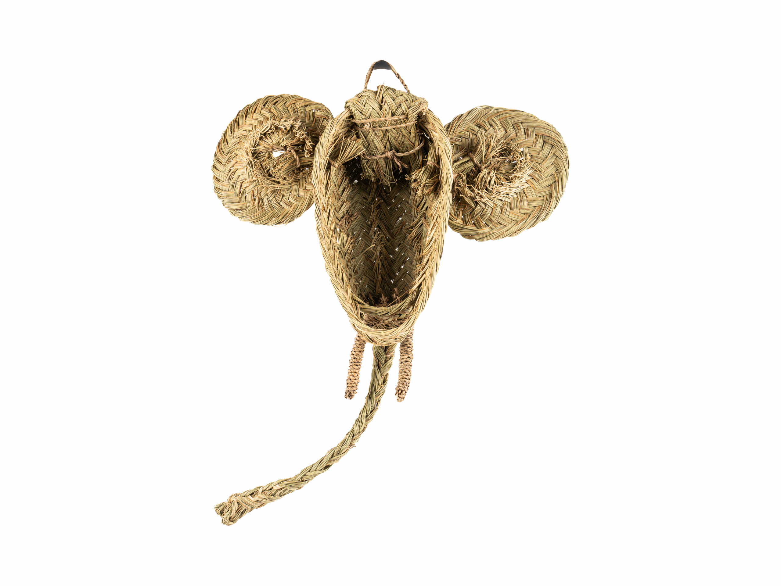 Cabeza Elefante Settat - Imagen 4