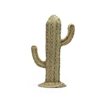 Cactus Asni