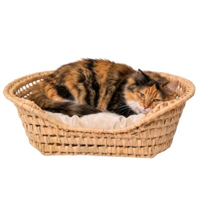 Cama para mascotas de palma. Cama para perros y gatos de mimbre, artesanal, étnico hecho a mano.